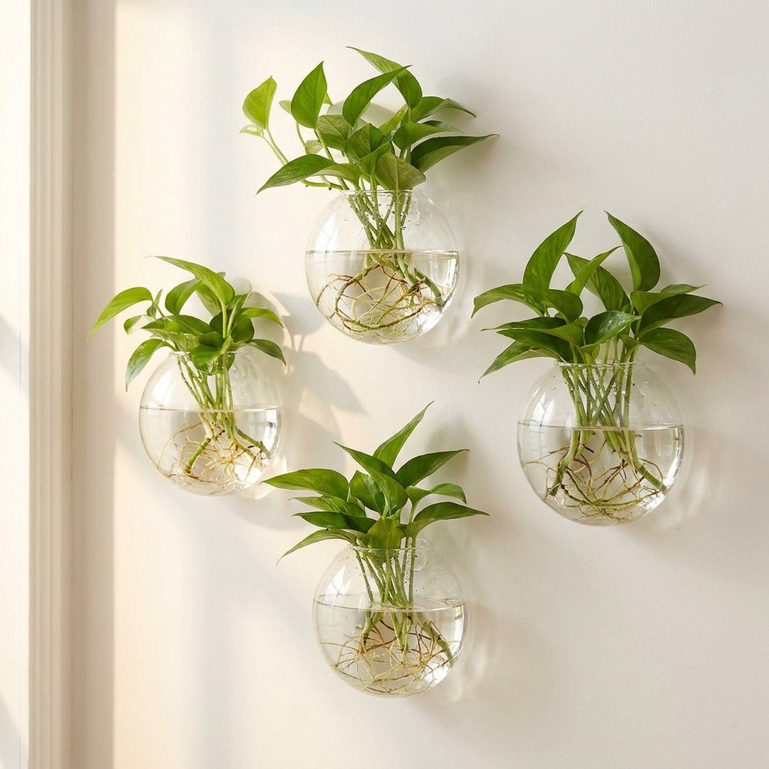Vase mural en verre transparent - vue principale