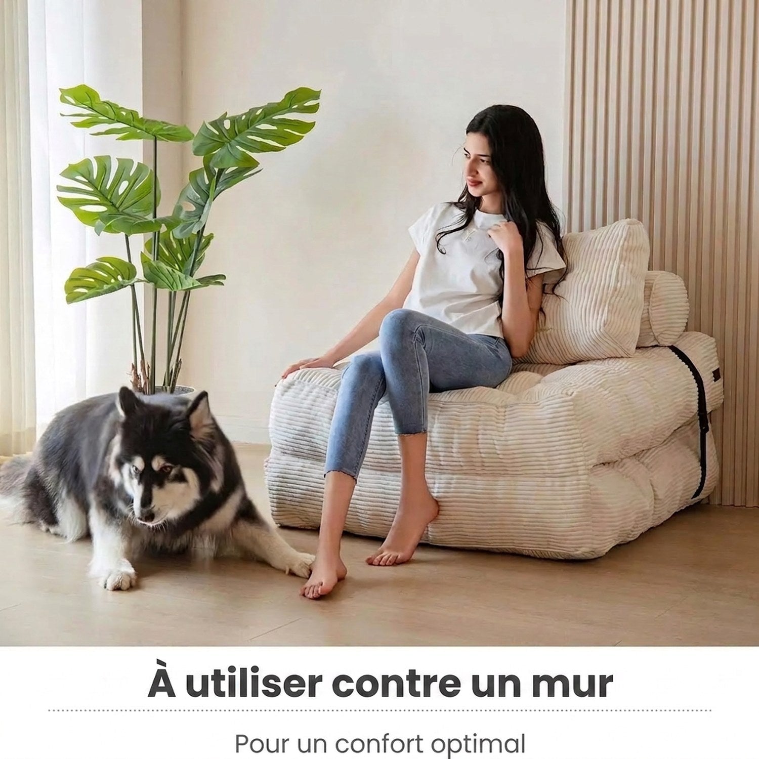 Chaise convertible blanche installée contre un mur dans un salon avec un chien