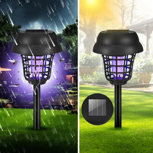Lampe solaire anti-moustiques en situation de pluie et de soleil en comparaison