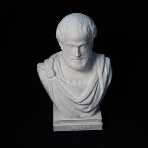 Buste Aristote impression 3D - détail visage barbu