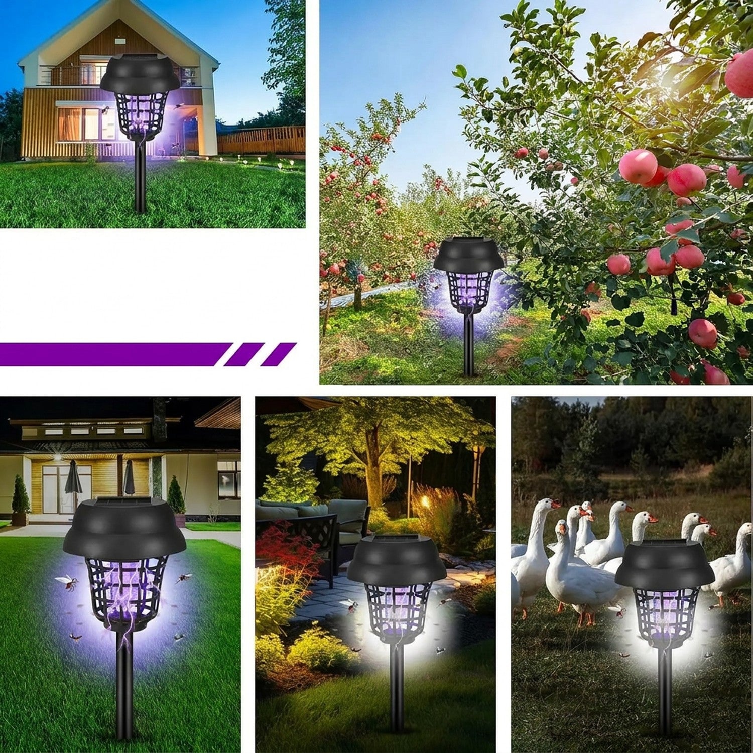 Lampes solaires anti-moustiques dans différents environnements extérieurs