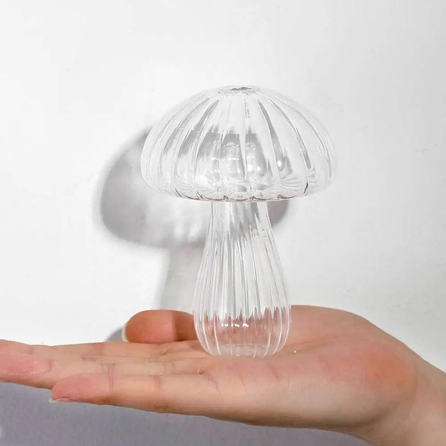 Vase champignon nervuré verre transparent tenu dans la main, taille réelle