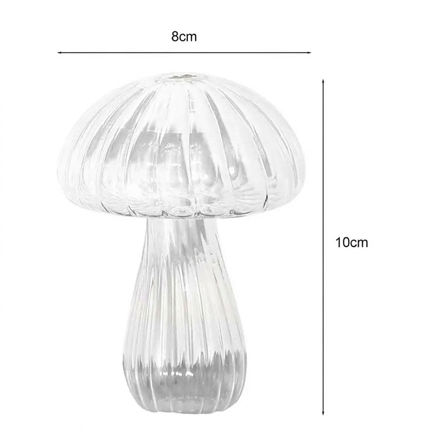 Dimensions vase champignon nervuré verre transparent : 8 cm largeur, 10 cm hauteur
