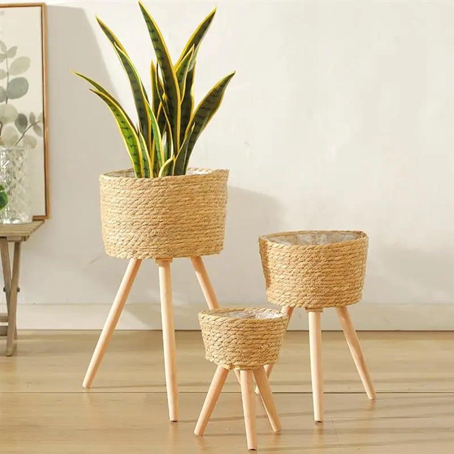 Cache-pots en bois tressé sur pieds en trois tailles dans un salon naturel