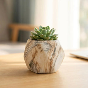 Pot de fleurs géométrique en céramique effet marbre beige avec une succulente