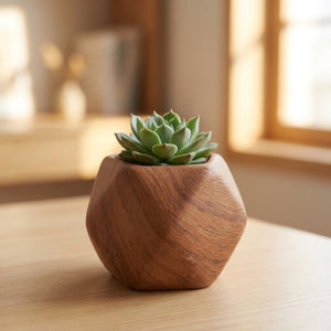Pot de fleurs géométrique en céramique effet bois avec une succulente