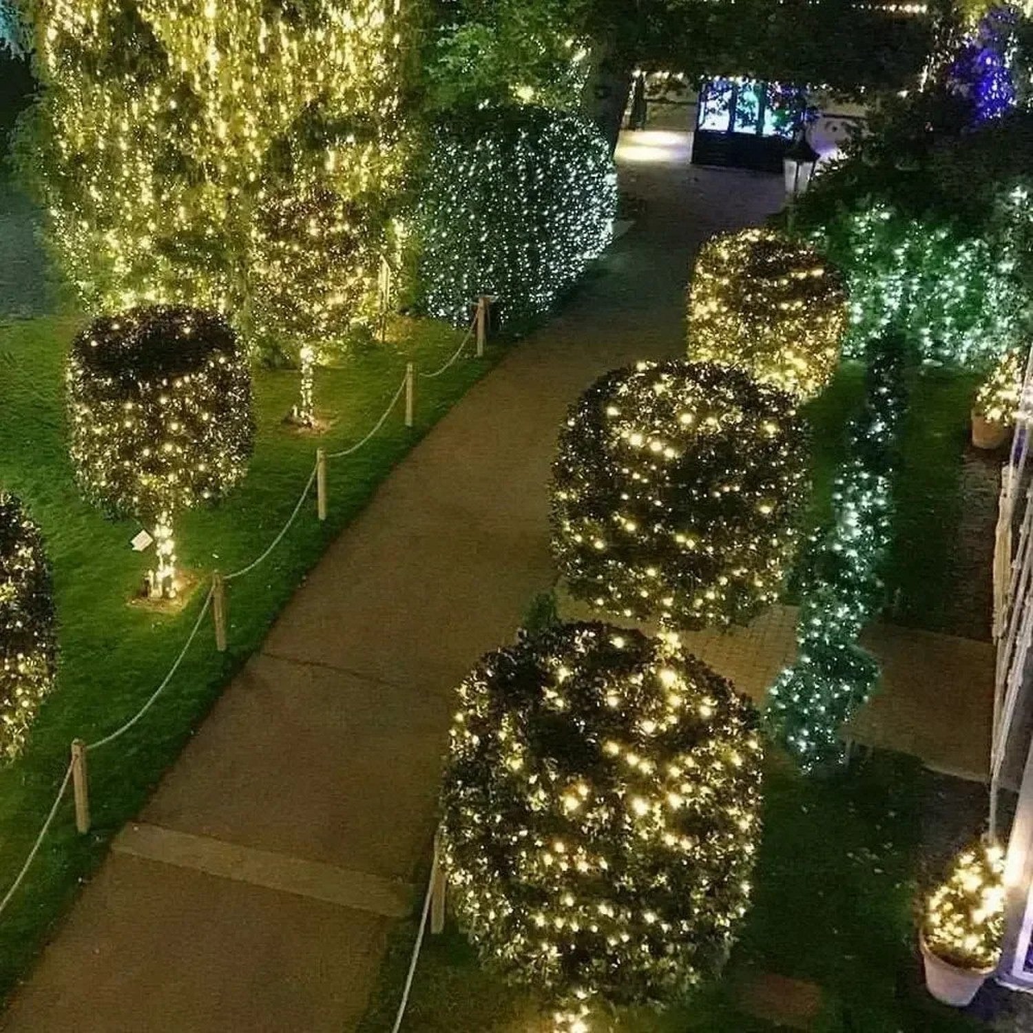 Guirlande lumineuse LED fil vert éclairant un sentier de jardin à l'extérieur la nuit
