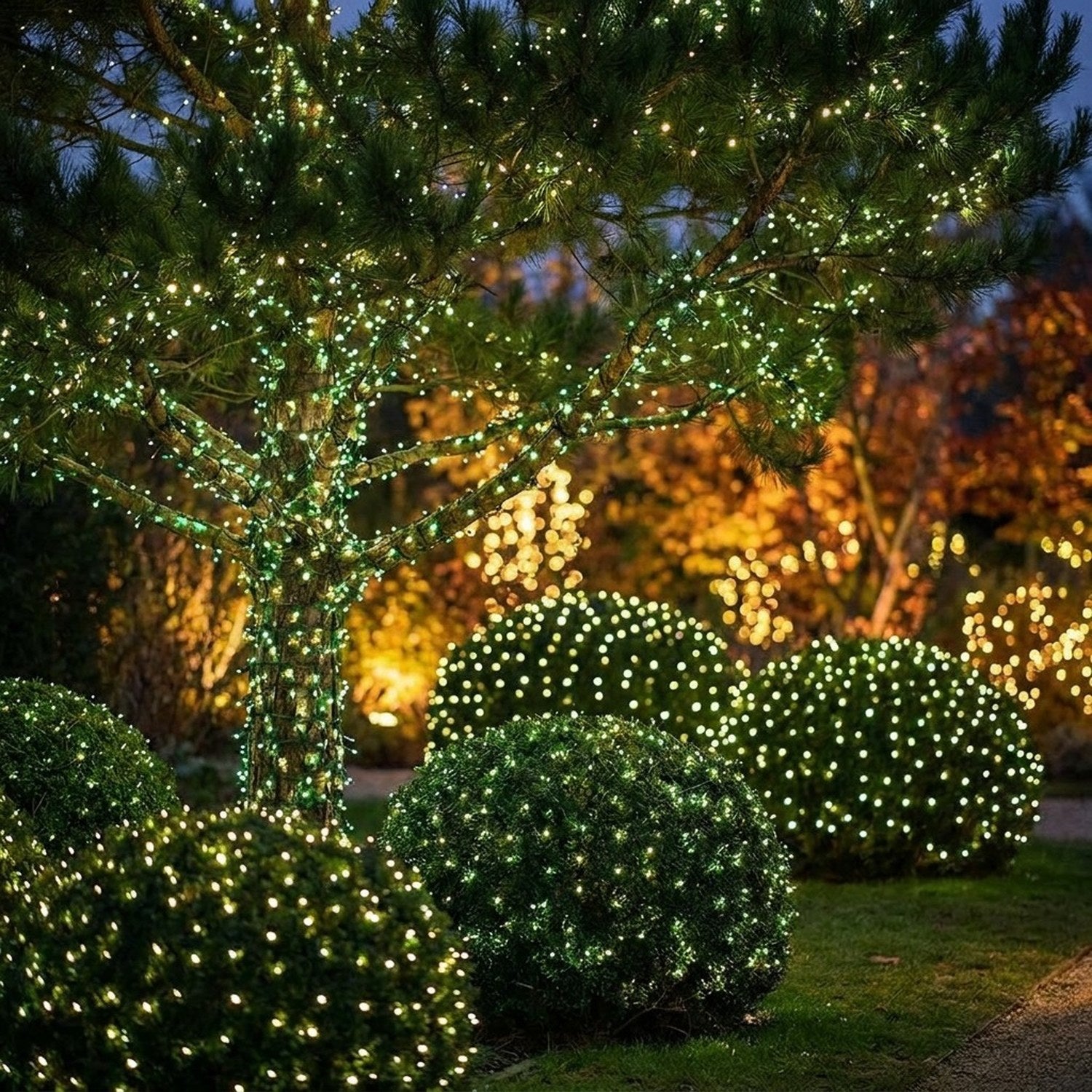 Guirlande lumineuse LED fil vert créant une ambiance féerique dans un jardin extérieur hivernal de nuit