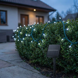 Guirlande solaire à câble vert et LED blanc froid drapée sur une haie de jardin avec panneau solaire planté au premier plan