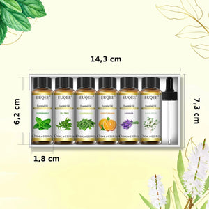 Dimensions du coffret d'huiles essentielles en centimètres avec les six flacons étiquetés