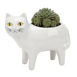 Cache-pot chat blanc en céramique avec succulentes sur fond blanc