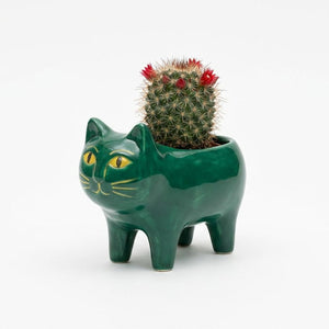 Cache-pot chat vert foncé en céramique avec cactus sur fond blanc