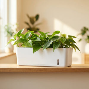 Jardinière auto-arrosante 40cm avec pothos sur rebord de fenêtre