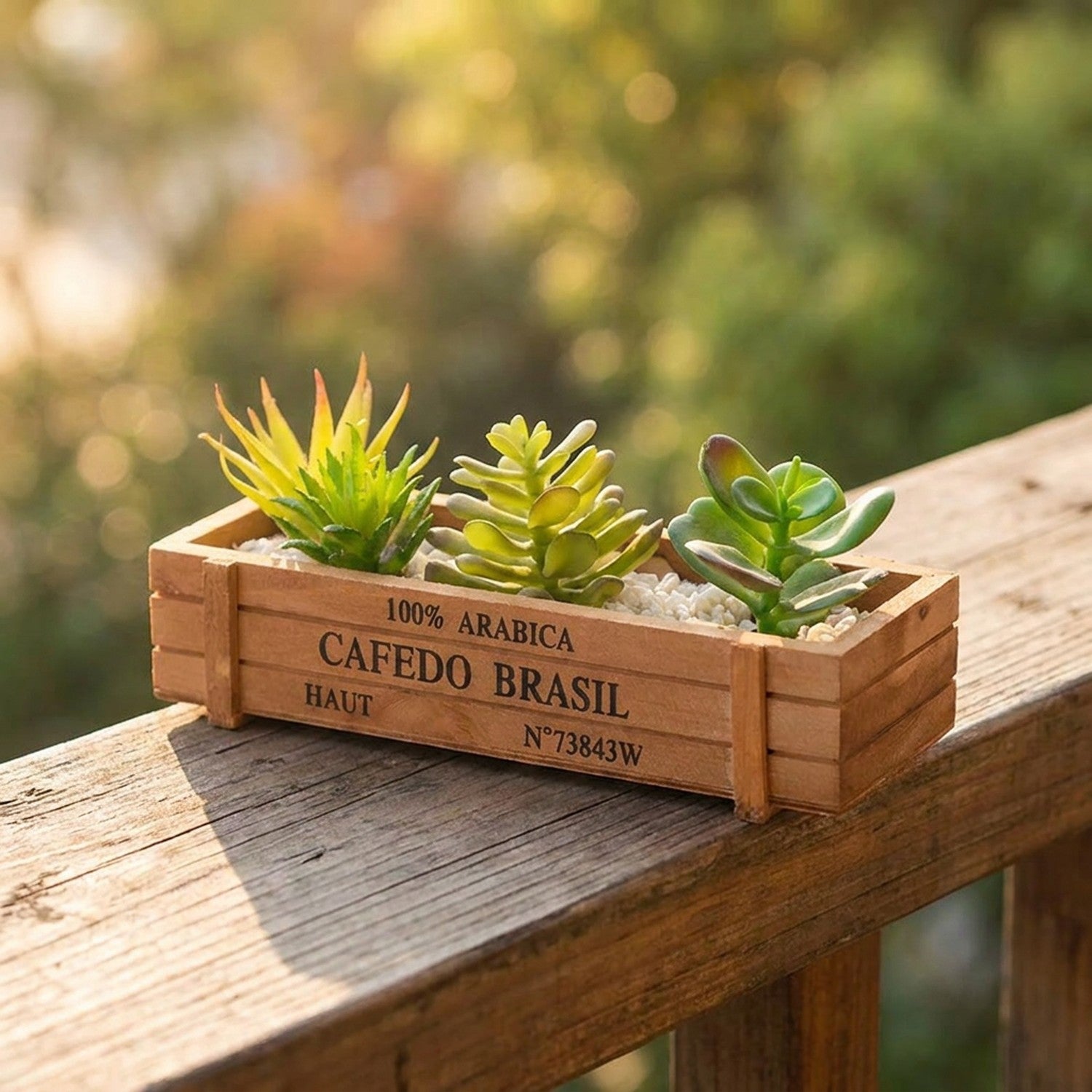 Jardinière en bois garnie de succulentes posée sur une rambarde de balcon ensoleillée