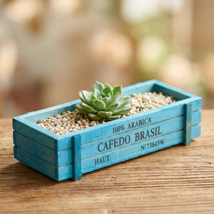 Jardinière en bois bleu plantée d'une succulente