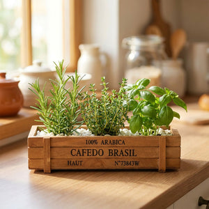 Jardinière en bois plantée d'herbes aromatiques fraîches sur un rebord de fenêtre de cuisine