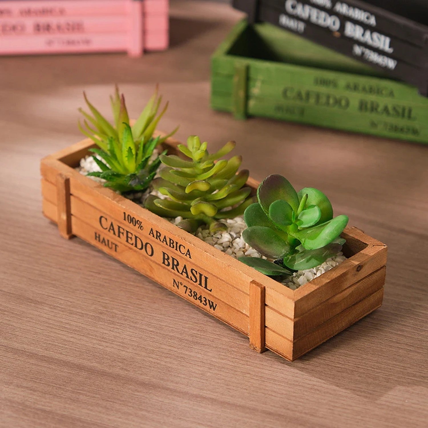 Jardinière en bois naturel plantée de trois succulentes vue de côté
