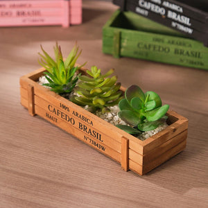Jardinière en bois naturel plantée de trois succulentes vue de côté