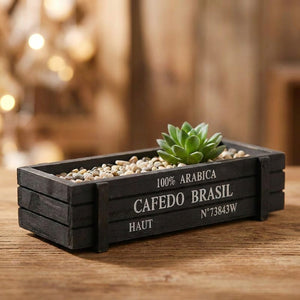 Jardinière en bois noir plantée d'une succulente