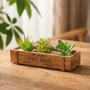 Jardinière en bois vintage style caisse à café garnie de plantes succulentes sur une table en bois