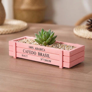 Jardinière en bois rose plantée d'une succulente