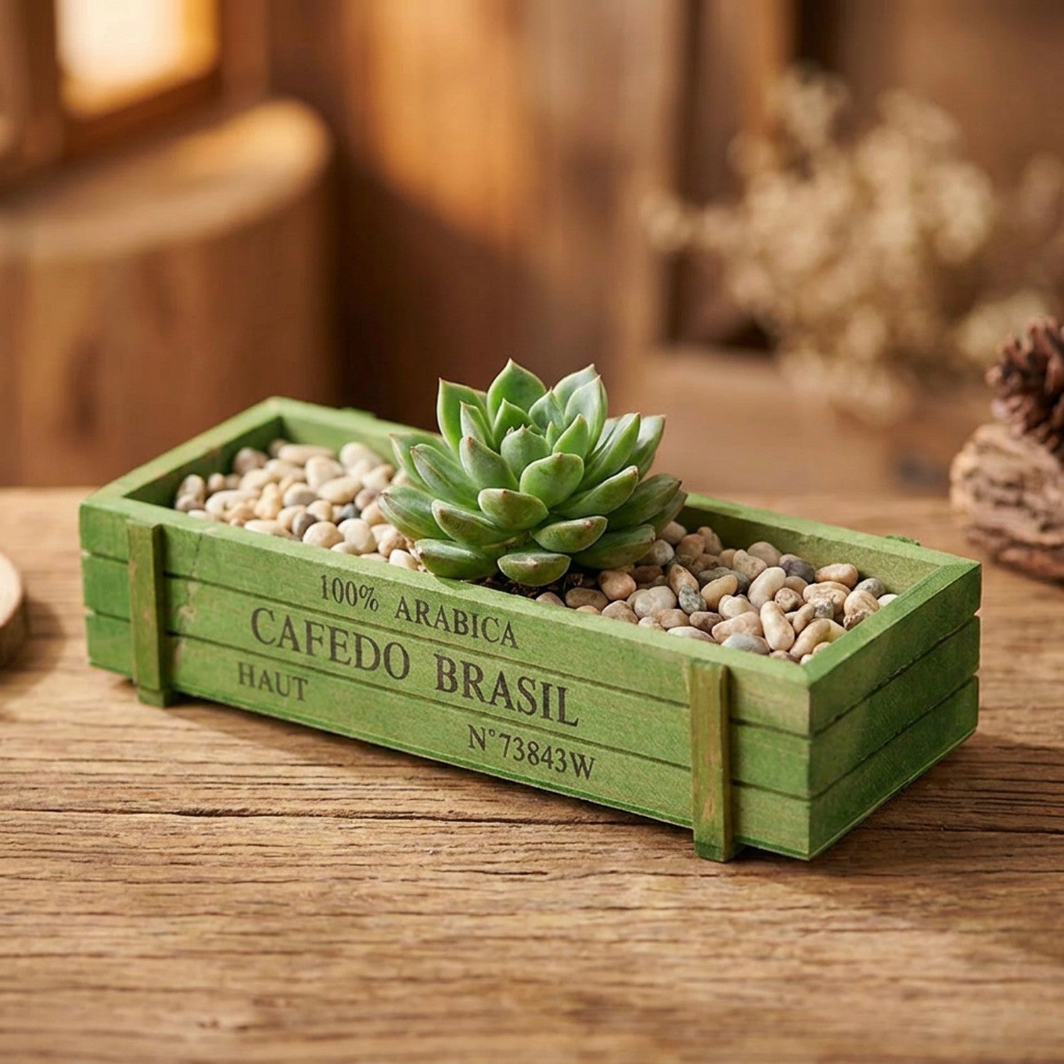 Jardinière en bois vert plantée d'une succulente