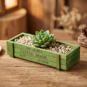 Jardinière en bois vert plantée d'une succulente