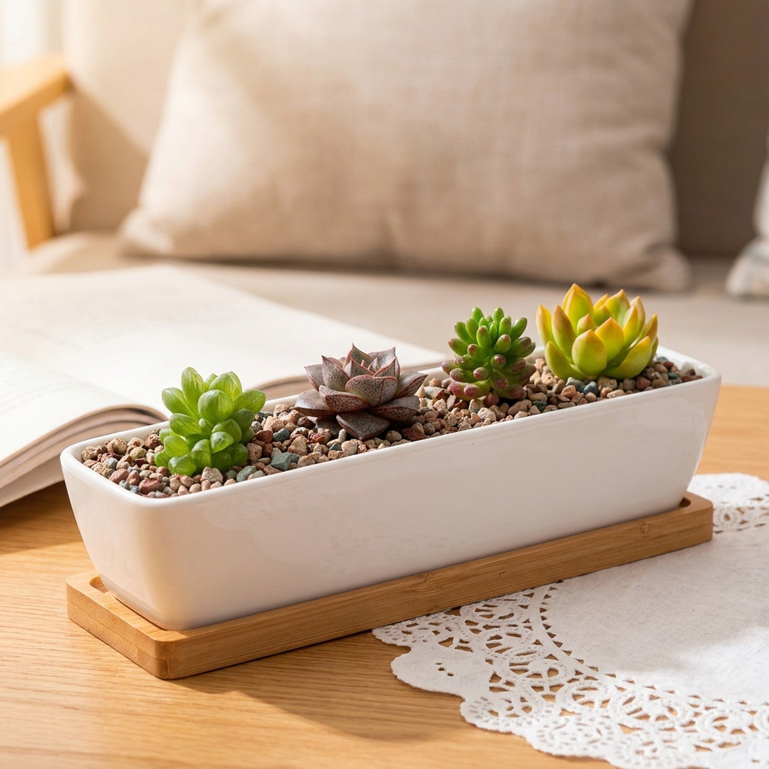 Gros plan sur la céramique blanche et le plateau en bambou de la jardinière à succulentes