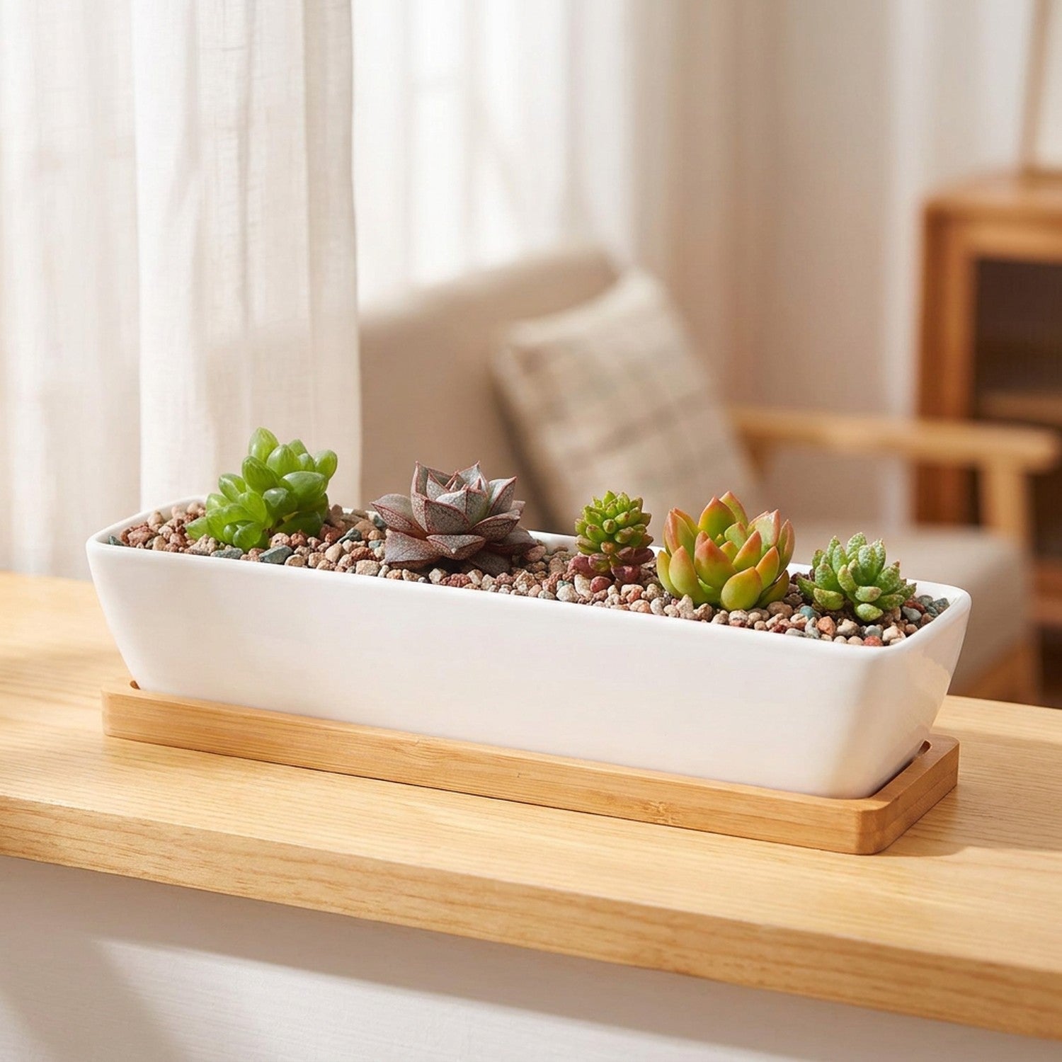 Jardinière à succulentes en céramique blanche posée sur un rebord de fenêtre lumineux