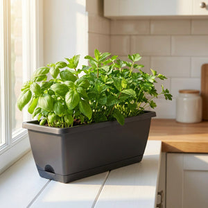Jardinière rectangulaire noire avec herbes fraîches sur rebord de fenêtre en cuisine