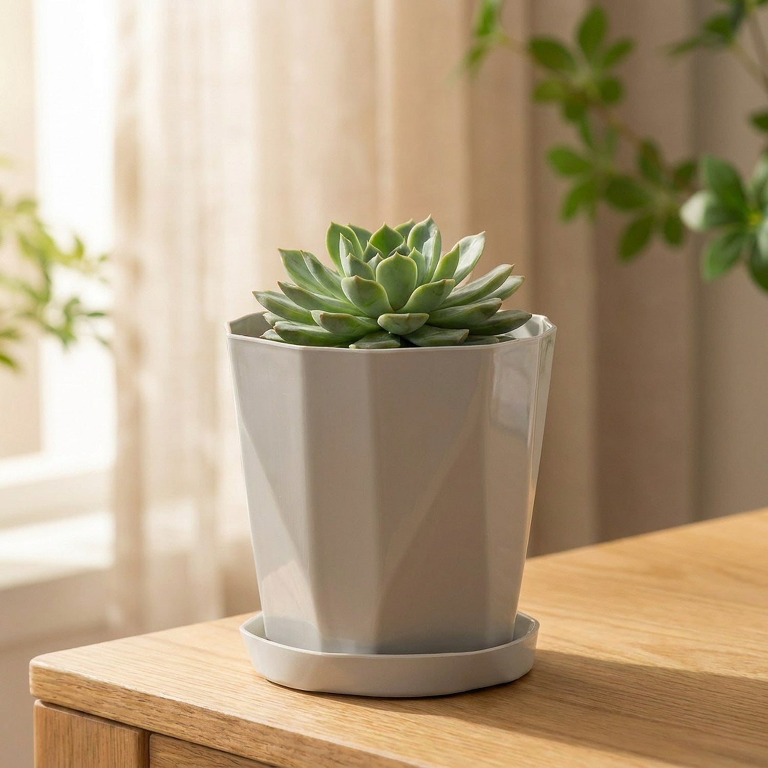 Cache-pot gris à facettes sur un rebord de fenêtre lumineux avec une succulente