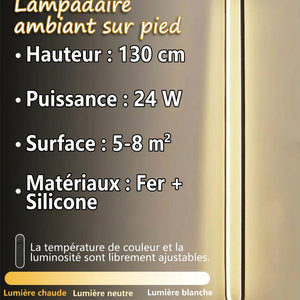 Lampadaire LED fiche technique hauteur 130 cm puissance 24W surface 5-8m²