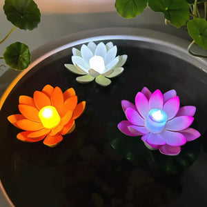 Lampes lotus flottantes LED allumees dans un bassin entoure de plantes