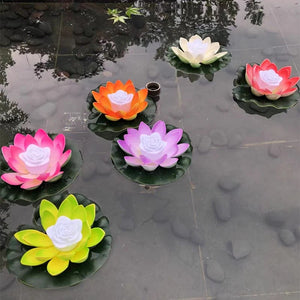 Lampes lotus flottantes LED allumees a la surface d un bassin exterieur