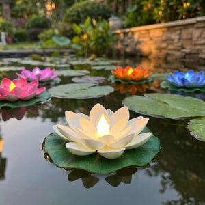 Lampes lotus flottantes LED de plusieurs couleurs flottant sur un bassin de jardin