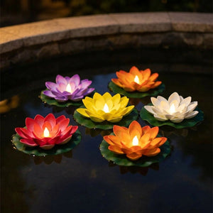 Plusieurs lampes lotus flottantes LED allumees sur un bassin la nuit