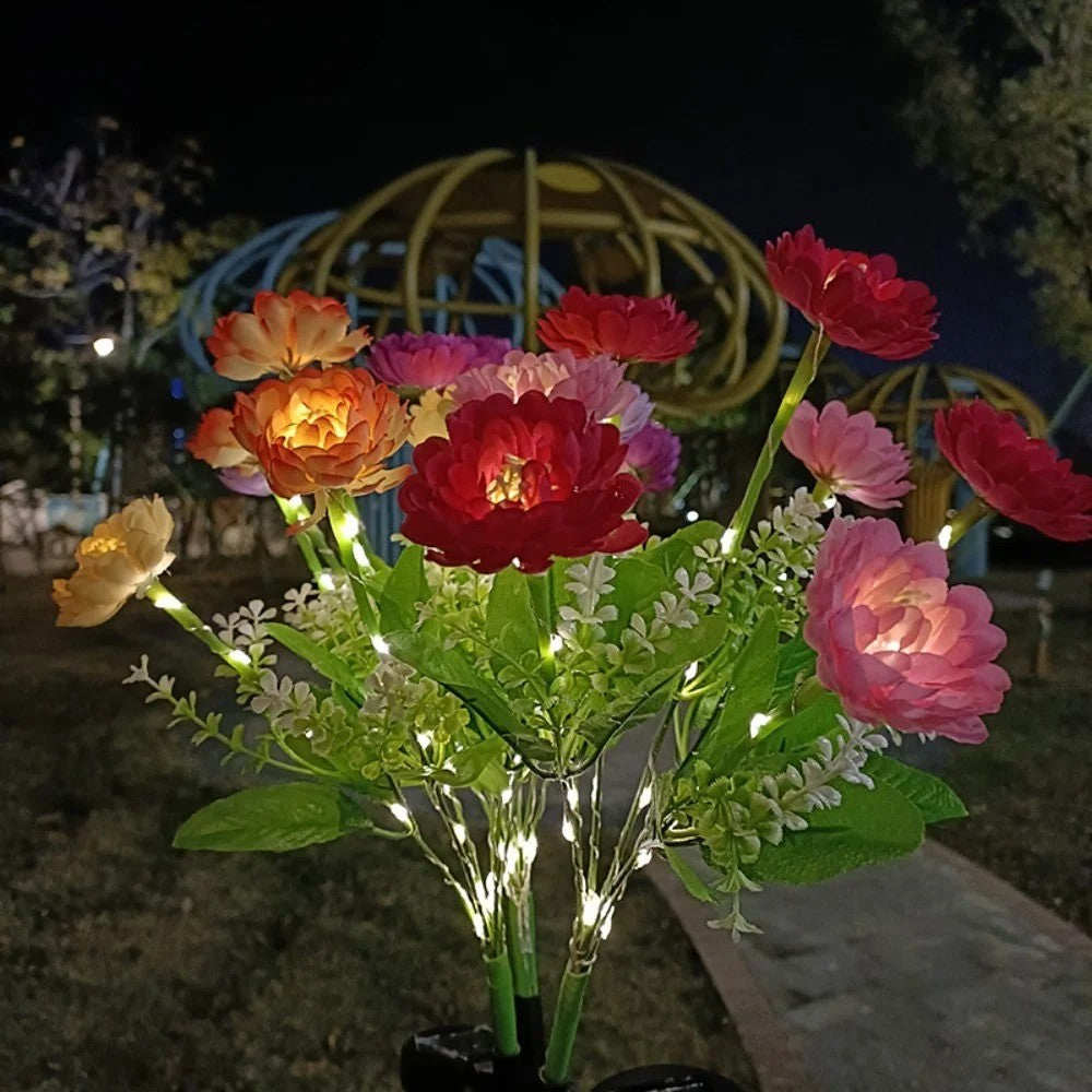 Lampes solaires a fleurs allumees la nuit deux unites plantees dans la pelouse