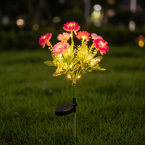 Lampe solaire de jardin a fleurs roses allumee la nuit dans la pelouse
