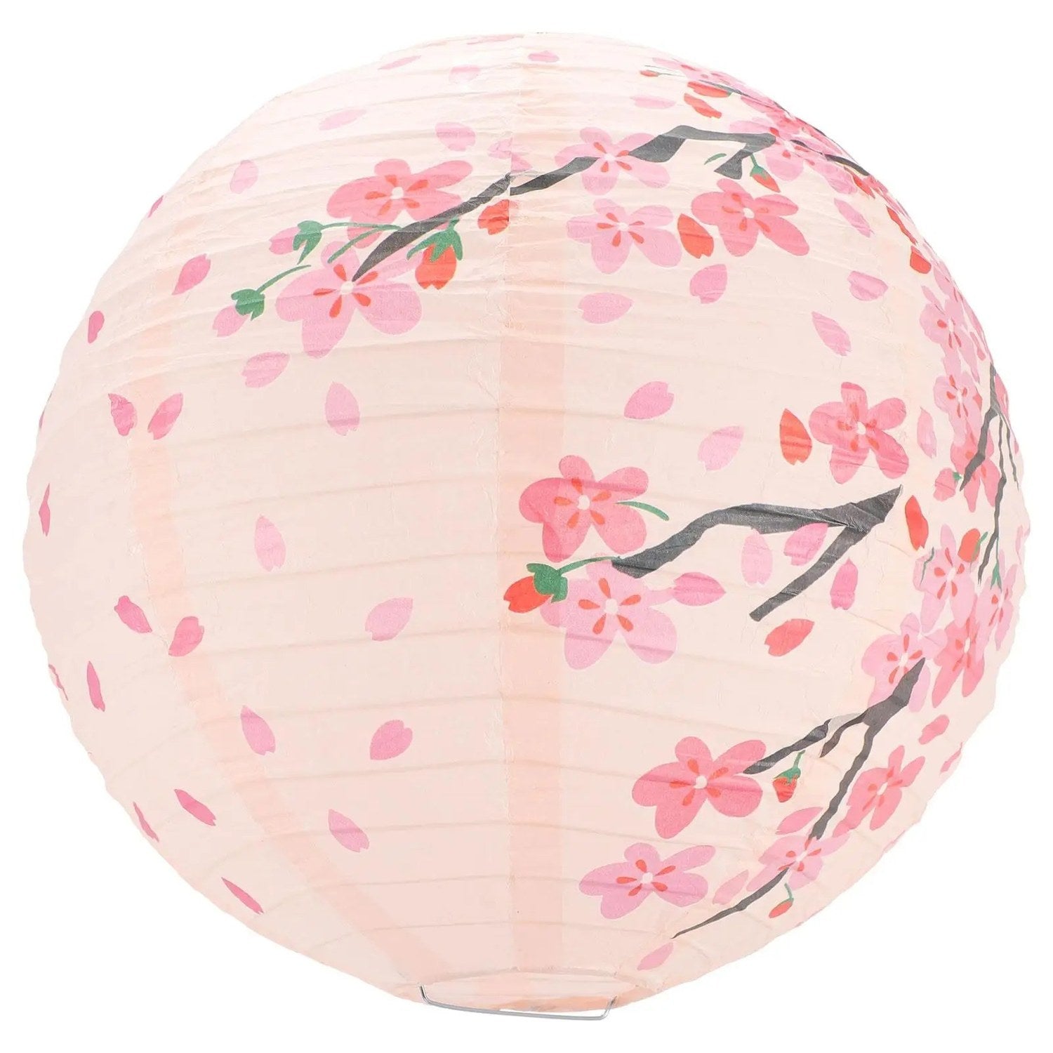 Lanterne japonaise en papier rose avec motifs fleurs de pêcher sur fond blanc