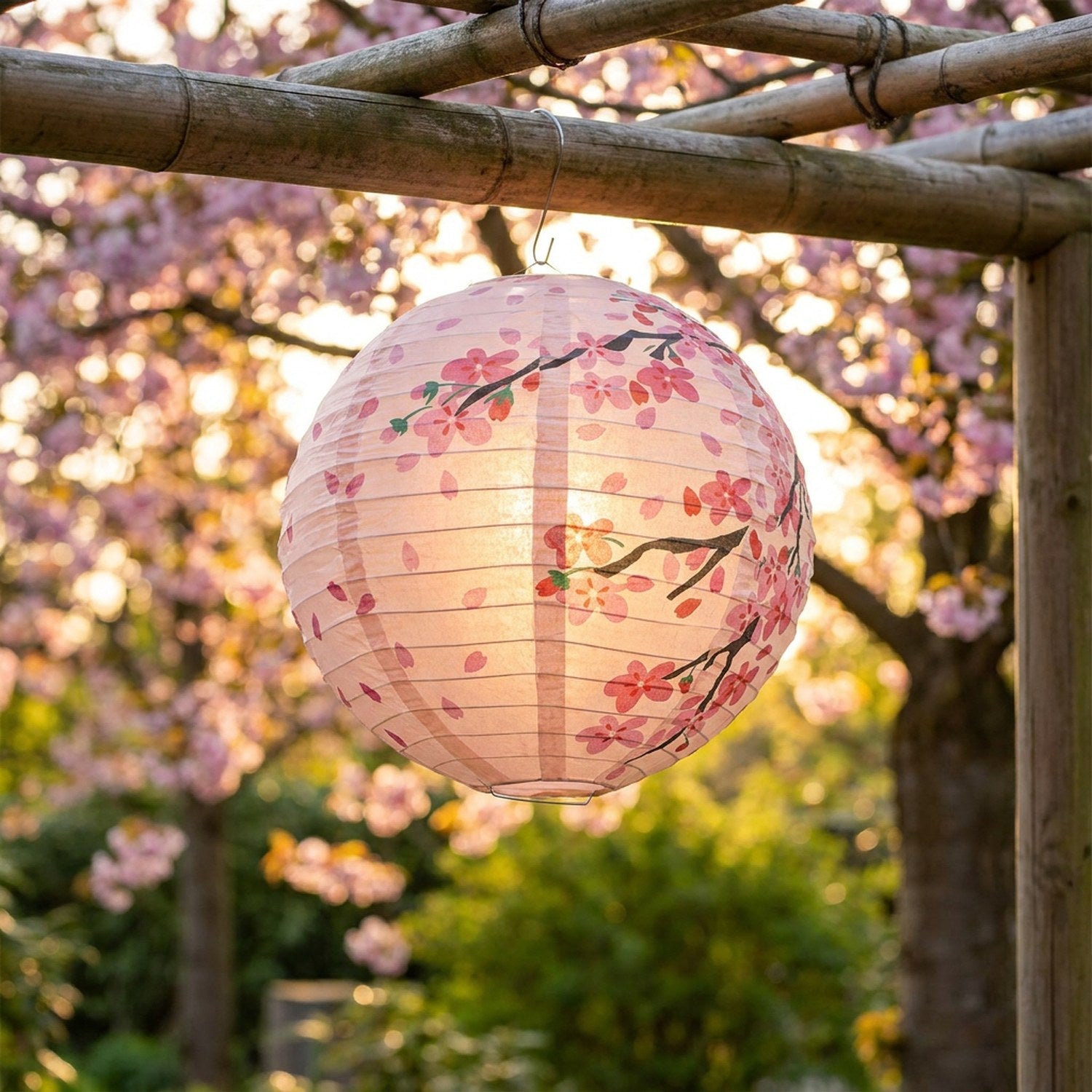 Lanterne sphérique rose aux motifs sakura suspendue sous une pergola bambou dans un jardin fleuri