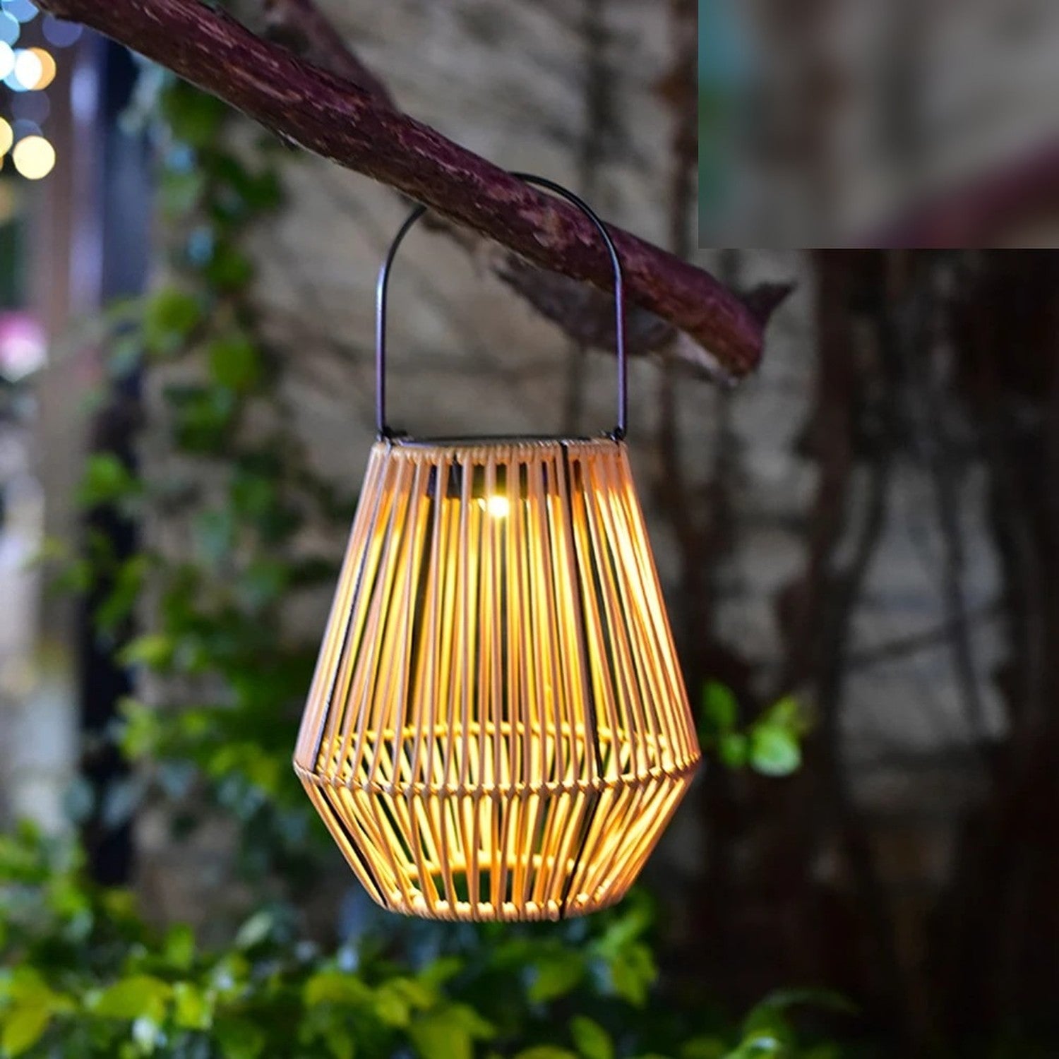 Lanterne géométrique style rotin suspendue à une branche dans un jardin illuminée la nuit