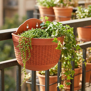 Pot de fleurs mural terracotta suspendu à une rambarde de balcon avec une plante retombante
