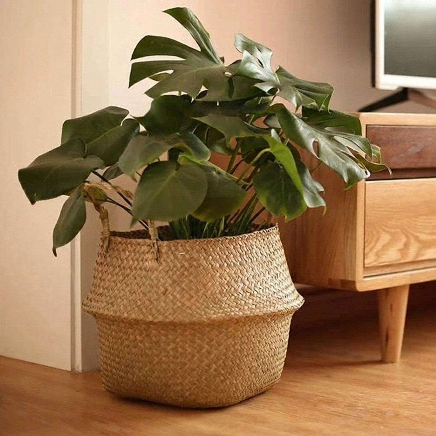 Cache-pot en jonc de mer avec un grand monstera près d'un meuble en bois