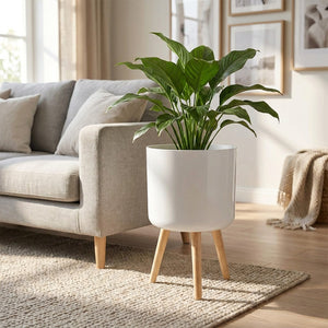 Cache-pot blanc sur pieds en bois avec une plante verte à côté d un canapé en lin