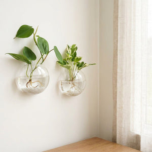Deux vases muraux en verre près d'une fenêtre avec rideau en lin