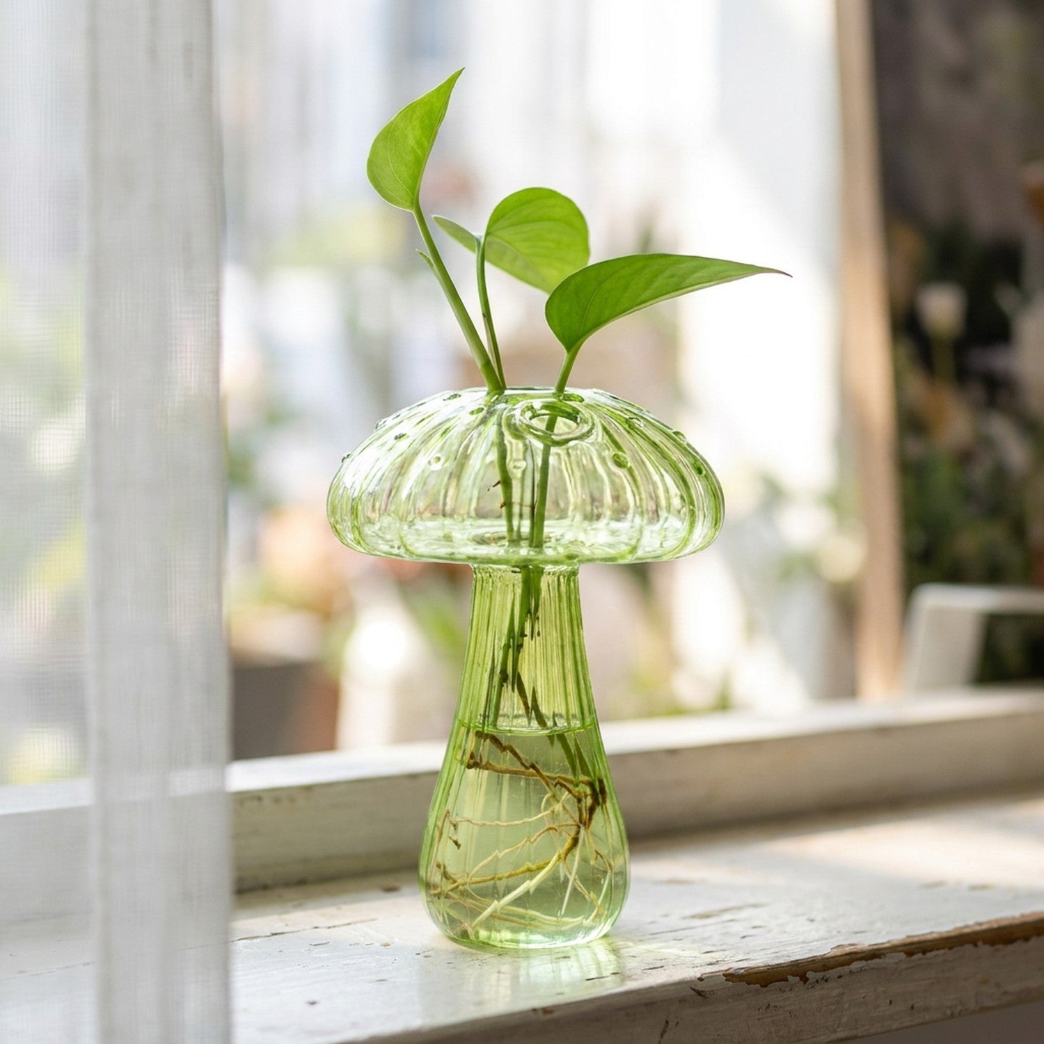Vase champignon en verre vert en bouturage avec racines visibles sur un rebord de fenêtre