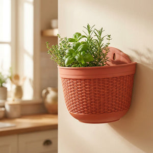 Pot de fleurs mural terracotta fixé sur un mur de cuisine garni d'herbes aromatiques fraîches