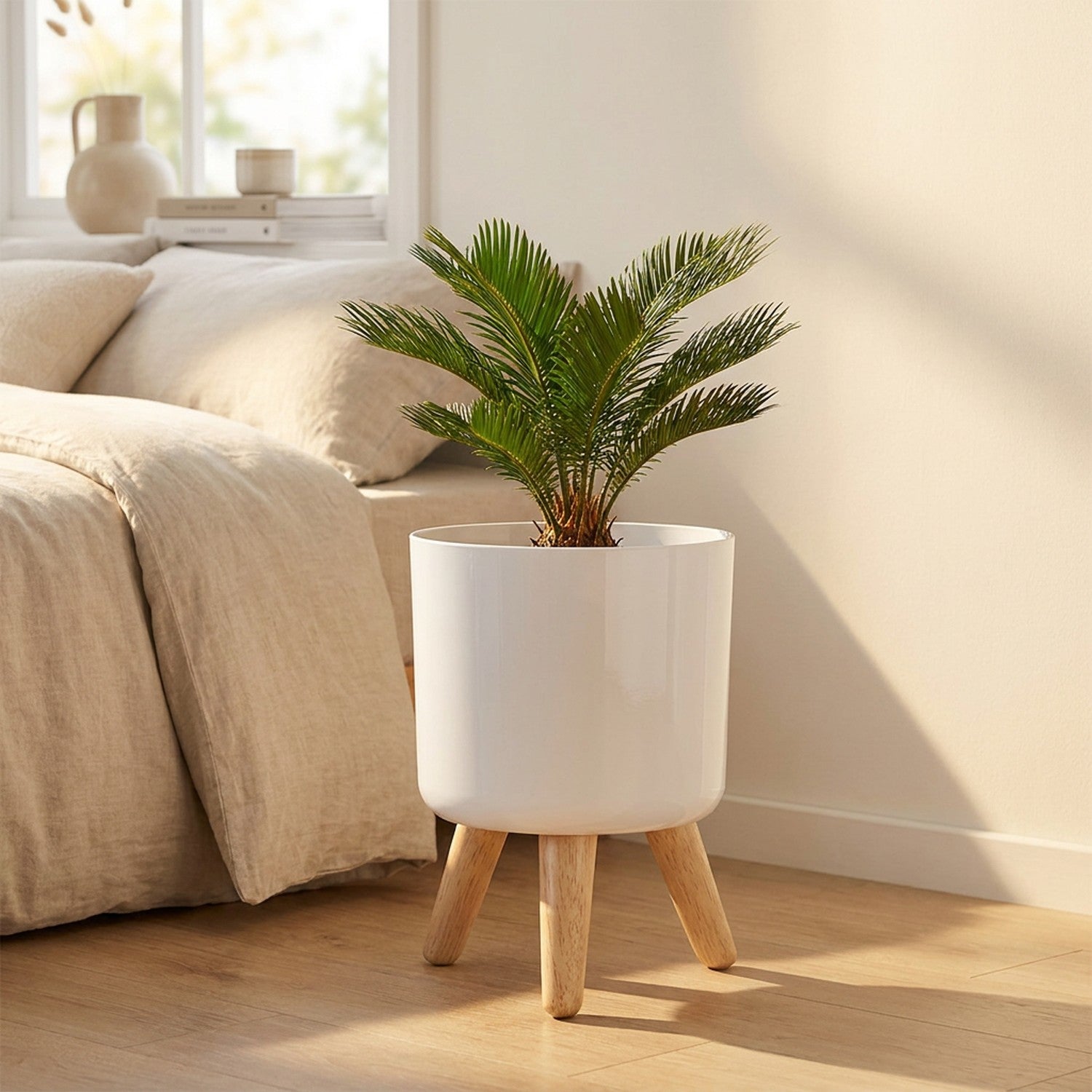 Cache-pot blanc sur pieds en bois avec un petit palmier dans une chambre lumineuse