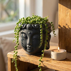 Pot de fleurs bouddha anthracite avec plante retombante, lumière naturelle
Pot de fleurs bouddha beige sur bureau en bois avec carnet et succulente