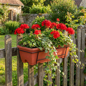 Jardinière de balcon terracotta avec géraniums sur clôture bois en jardin